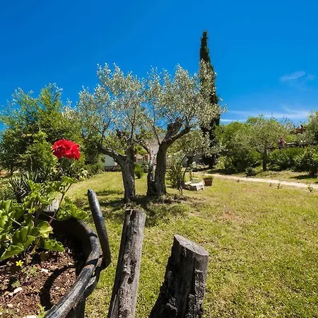Appartement Garden *